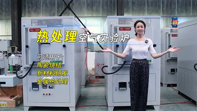 500℃ Electric Hot Air Drying Oven