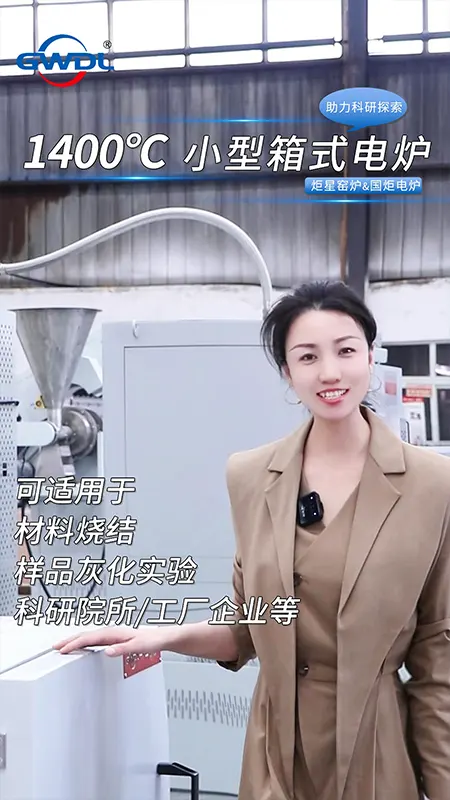 1400 Laboratory Muffle Furnace